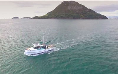 Valda M Fishing Charter Tauranga