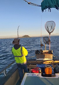 Evening Fishing