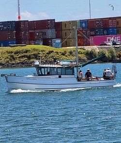 Valda-M Fishing Charters Tauranga