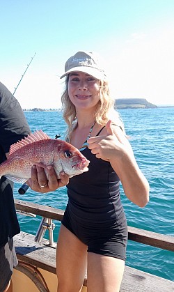 Todays lunch Snapper